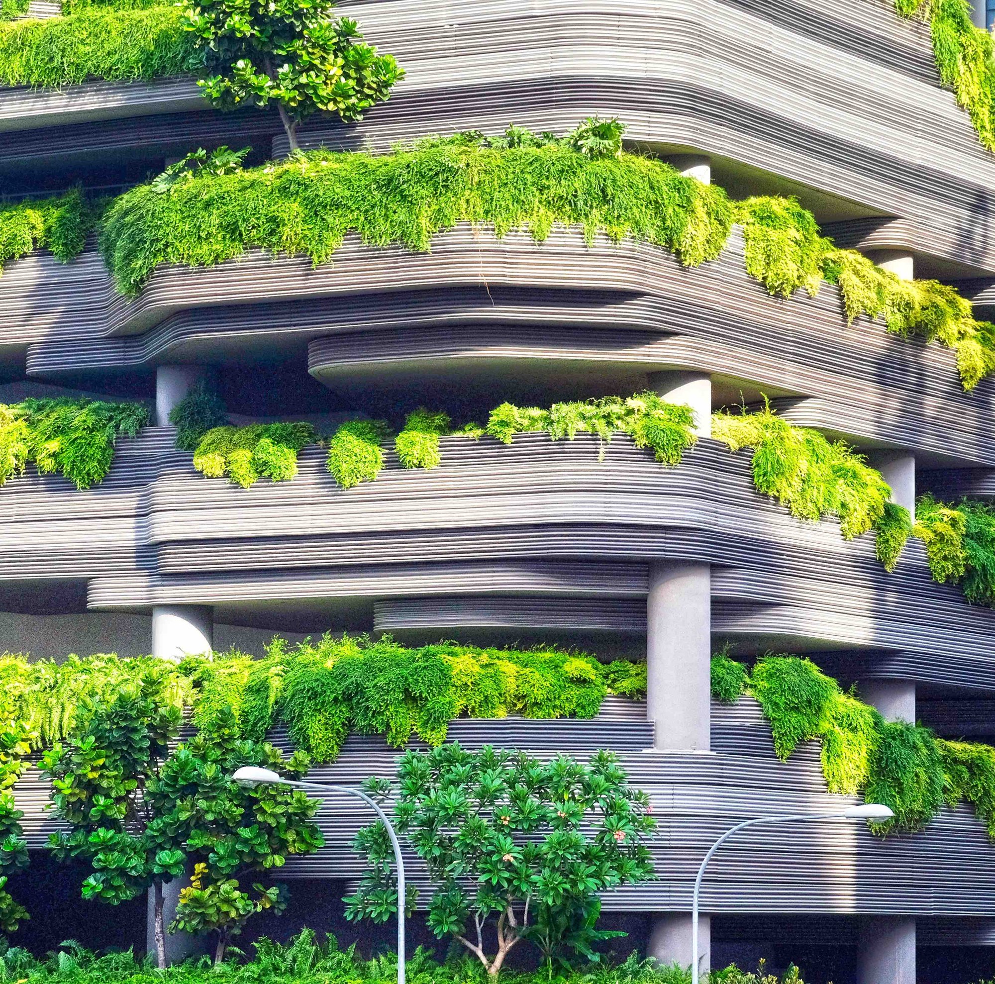 green parking 2 green parking 2